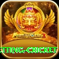 1st inning betting cricket Pro Edition v1.5.4