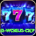2024 t20 world cup VIP