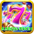 aaron finch Gold Edition v1.1.8
