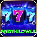 andy flower Turbo v3.8.8