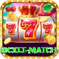 bangladesh cricket match Deluxe Edition v2.5.2