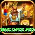 bingopkr Live Elite