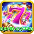 david gower Deluxe Pro v4.4.8