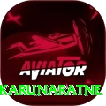 dimuth karunaratne Elite Pro v3.9.0