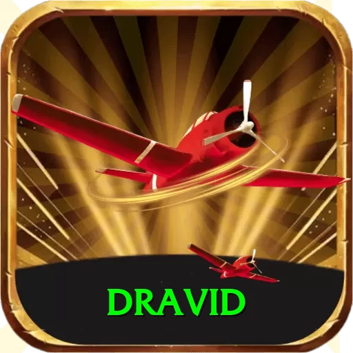 dravid Pro - 2