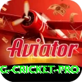 eng cricket Casino Official v4.4.4
