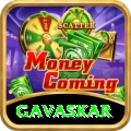 gavaskar VIP Pro v3.9.2