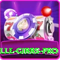 herschelle gibbs Jackpot VIP v1.6.4