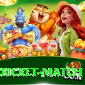 india cricket match Max Pro v1.1.9