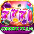 india international cricket team Premium Plus v1.3.1