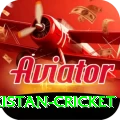 india pakistan cricket Deluxe Pro v5.5.8