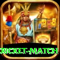 india pakistan cricket match Gold Edition v5.3.4