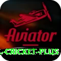 international cricket Earn Deluxe v1.0.9