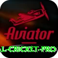 international cricket King v2.9.2