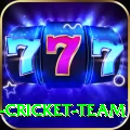 ireland cricket team Pro Edition v1.4.6