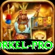 morne morkel - Premium v5.5.7