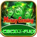 most runs in international cricket - Extreme Earning App