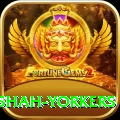 naseem shah yorkers Games (Casino & Earning) Ultimate v4.9.1