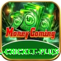 nepal cricket - Max Edition v2.6.7