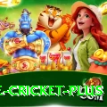 one cricket APK King v4.4.8