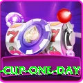 pakistan cup one day VIP Edition v3.0.5