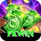PKWin Pro1 v5.4.2