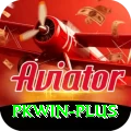 pkwin Gold Edition v3.0.5