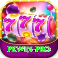pkwin Pro v4.5.8