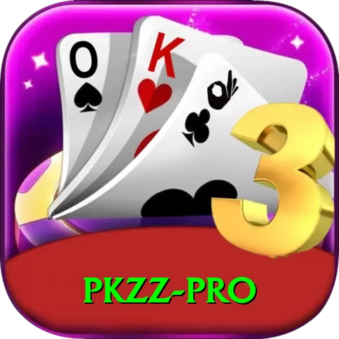 pkzz Plus Edition v5.5.1 - 2