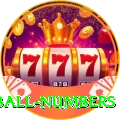 powerball numbers Max Pro v5.3.0