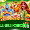 risk free bet cricket Premium v1.0.7