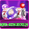 rudi koertzen Elite Pro v4.8.3
