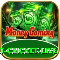 smart cricket live Apps (Tools & Injectors) Gold v5.6.1