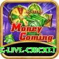 smartcric live cricket VIP v1.2.5