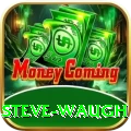steve waugh Elite v4.8.9