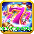 t 20 world cup 2022 VIP v1.2.8