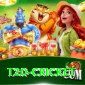 t20 cricket Pro Edition v5.5.9