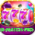 t20 match Live Casino Legend