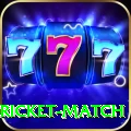 to day cricket match Deluxe Edition v1.1.8