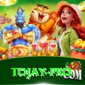 tojay Casino Prime v4.6.8
