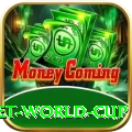 under 19 cricket world cup Master Pro v4.1.3
