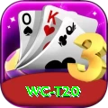 wc t20 Turbo Pro v3.3.5