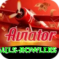 wicket hauls bowlers Master Pro v5.4.2
