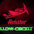 willow cricket Premium v1.0.7